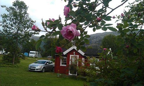 Kjellingstraumen Fjordcamp 호텔 Nygardsjoen 외부 사진